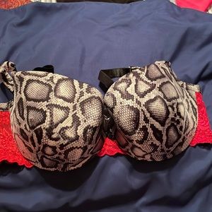 Cacique bra, 40d